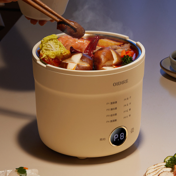 1L Large Capacity Digital Egg Cooker for Soft-boiled Eggs