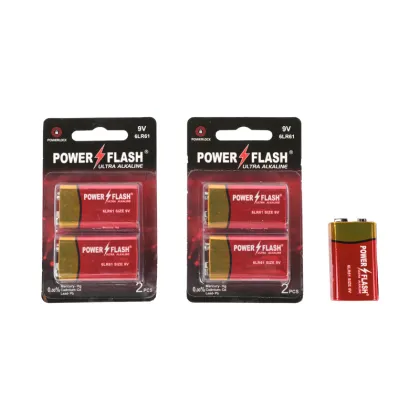 Competitive Price Power Flash Durable Brand 6LR61 9V Alkaline Battery