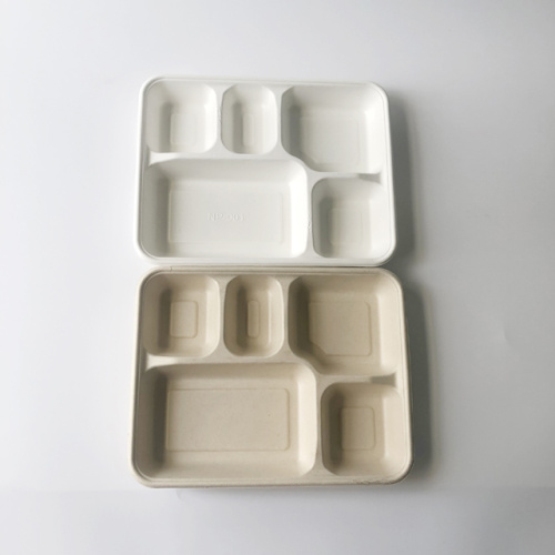 5-div Bagasse Trays Biodegradable Large 5 Compartment Bagasse Tray Factory Factory