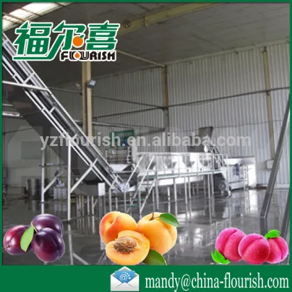 full automatic industrial plum puree producing line
