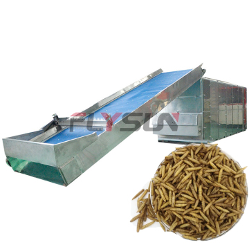 Black Soldier Fly Drying Machine for Food Processing