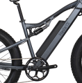 E 자전거 지방 타이어 1000 와트 전기 자전거
