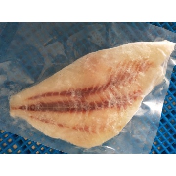 Mražené drsné filé vysoké kvality