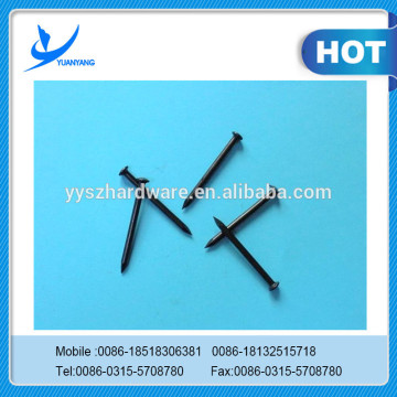 galvanized steel concrete nail thumb brand