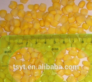 iqf sweet corn kernel,frozen sweet corn,chilled sweet corn kernel.