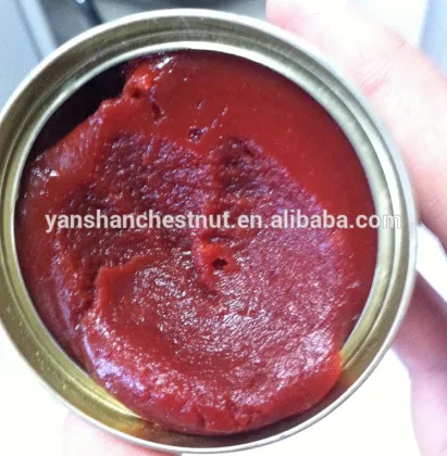 100% pure tomato paste no color and additives