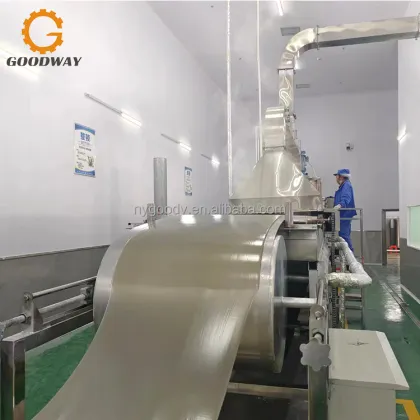 100-300 kg/h Starch Vermicelli Production Line - Fresh Vermicelli Making Machine