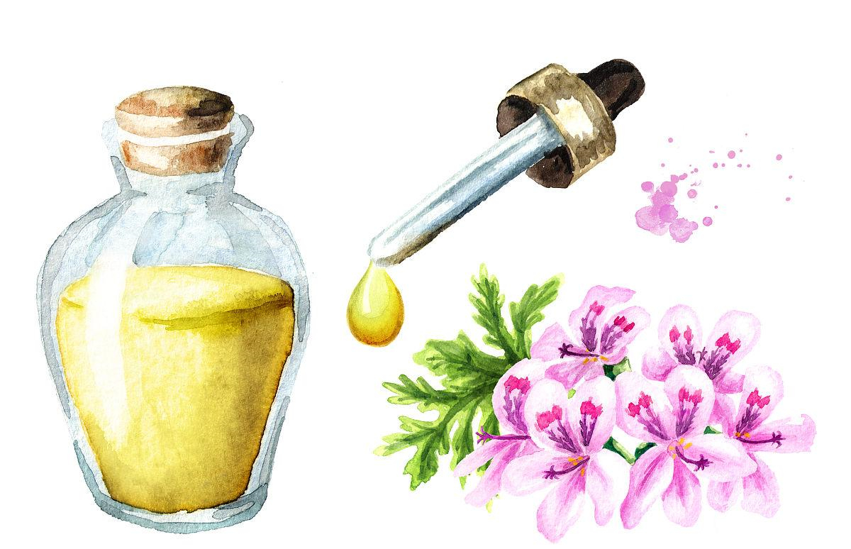 Rose Geranium Essential oil (3)