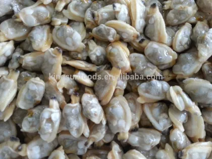 Frozen Boiled Clam Meats