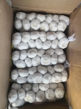 2020 Snow White Fresh Garlic