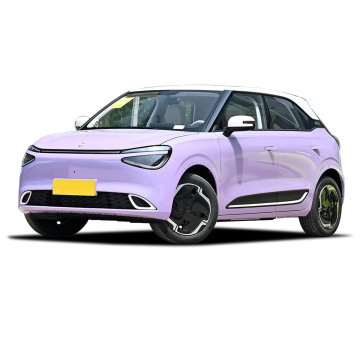 2024 Dongfeng Box Mini EV Electric Auto Nano 01 - 330km Range Cheap Electric Car for Adults