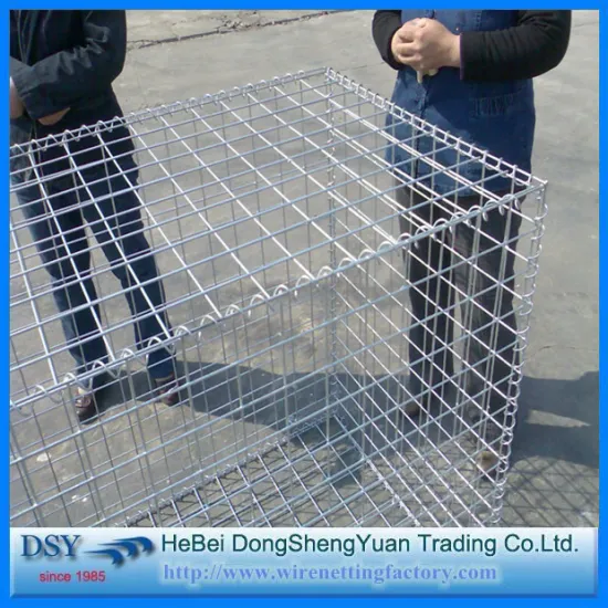 Gabion Box / Welded Wire Mesh Gabion