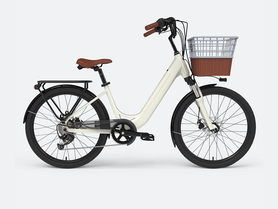 Customized Lady Ebikes For Sale