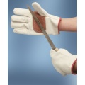 /msite/products/detail/productid/68329848/id/1540213.html