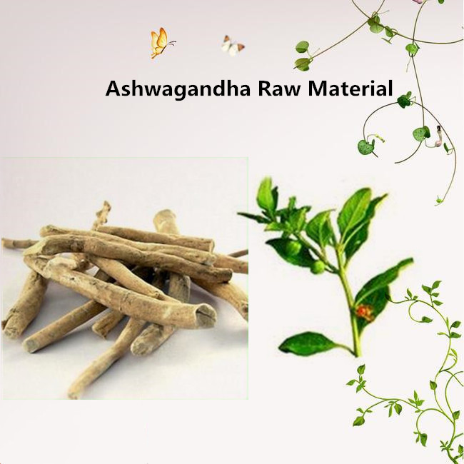 Ashwagandha4 Jpg