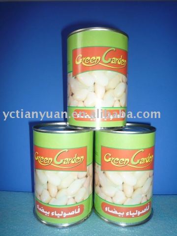 canned food white beans in brine