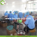 Fruits d&#39;approvisionnement d&#39;usine emballant l&#39;UE Goji Berry