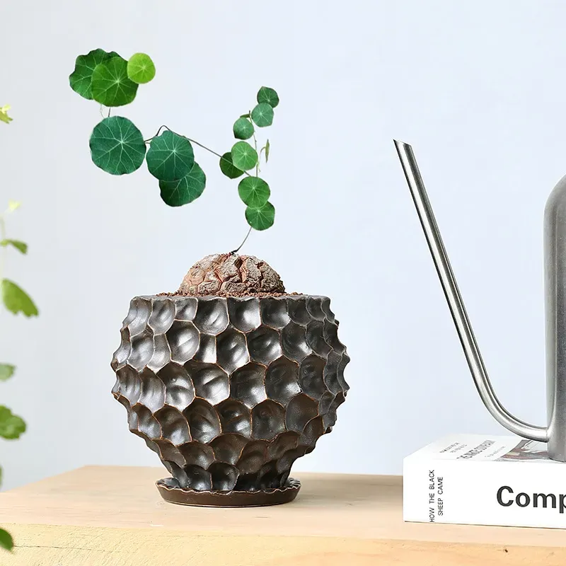 Unique Black Ceramic Pot for Indoor Tabletop Decor