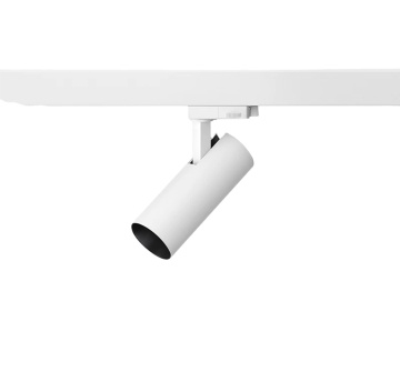 Automazione della casa intelligente: esplorare gli standard di certificazione per Apple Homekit, Google Home, Amazon Alexa e Matter in Magnetic Track Grille Lampade