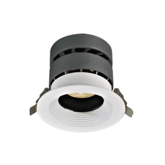 Decorative Exquisite 20W LED Downlight