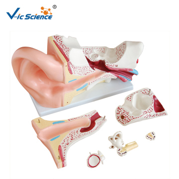 Nouveau modèle d'oreille géante de style