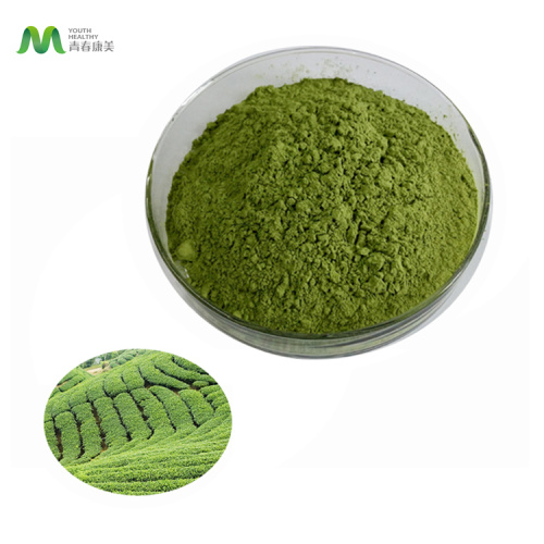 Grado ceremonial de polvo de té verde matcha