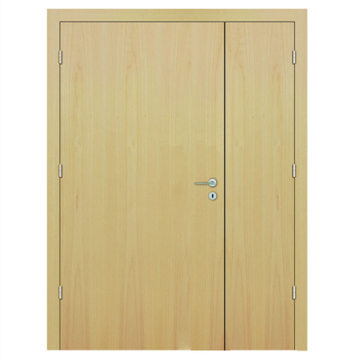 VENEER HOLLOW CORE DOORS สำหรับโรงพยาบาล