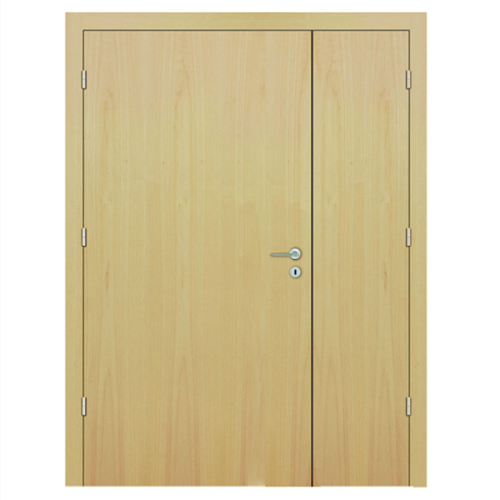 Veneer Hollow Core Doors for Hospital