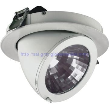 Adjustable HID Down Light,CDM-T G12/CDM-TC G8.5,70W
