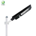 Ferro 60w 100w All In One Solar Street Light Price