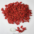 High Quality Organic  Goji Berry Chinese wolfberry