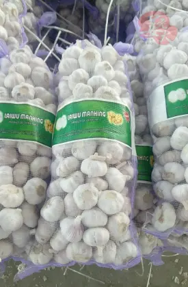 Fresh Grade A Garlic