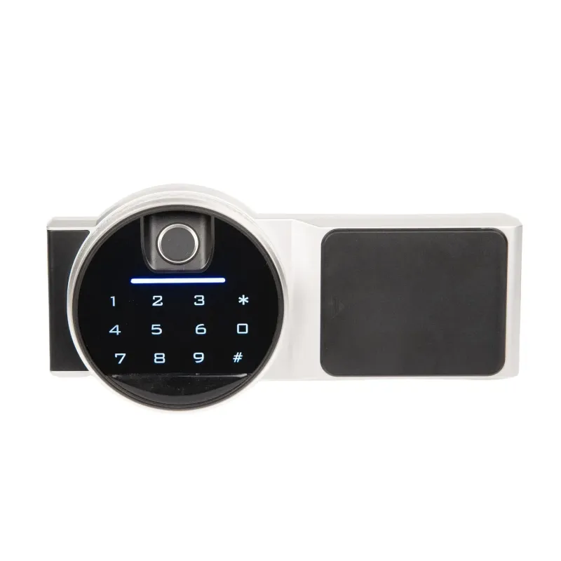 Fingerprint-Enabled Fireproof Safe with External Power Supply