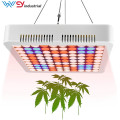 640W Fluence Spydr Indoor Samsung led grow light