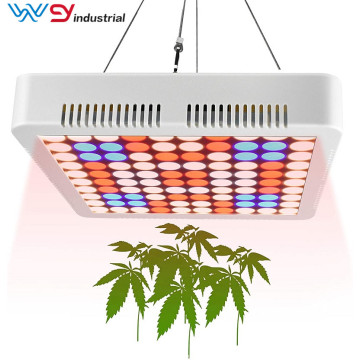 led panel grow light 600w wenyi