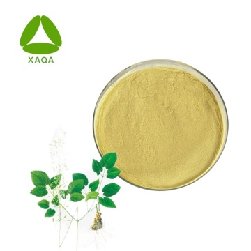 Epimedium Leaf Extract Icariin 10% Powder Sex Improve