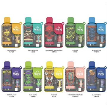 Disposable Vape Pen E-Cigarettes 9000 Puffs