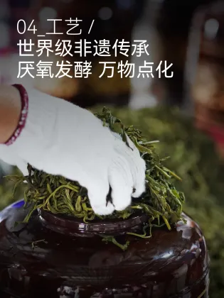 Unique De'ang Sour Tea from Highland Origins
