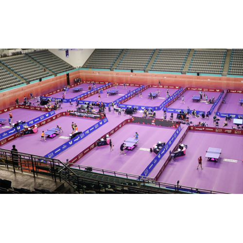 Professionele tafel tennisvloeren voor binnenevenement en training Doele ITTF goedgekeurd