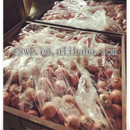 apple fruit fresh cheap apple fruit sweety apple fruit