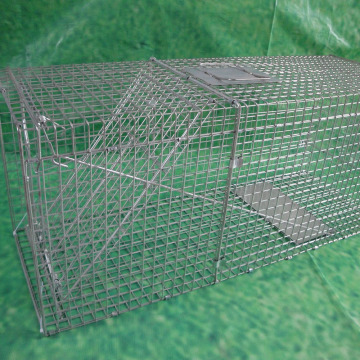 Animal Cage Traps Live Bird Trap