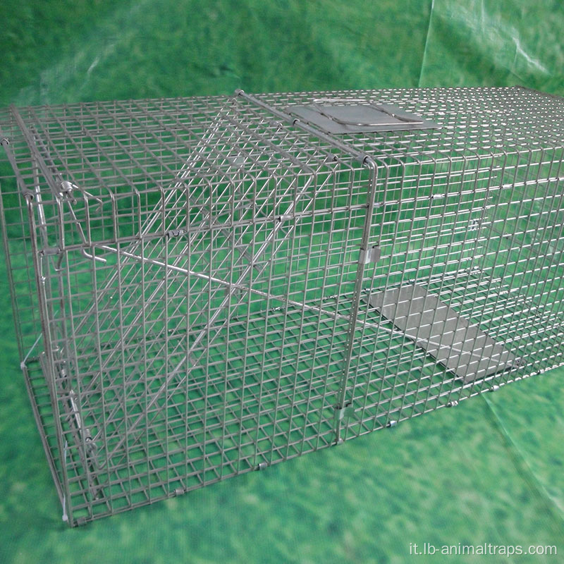Trappole gabbia per animali vivi trappola per uccelli