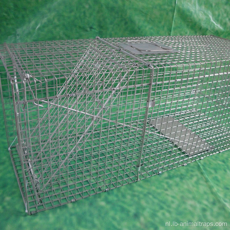 Dierenkooi vallen levende vogelval
