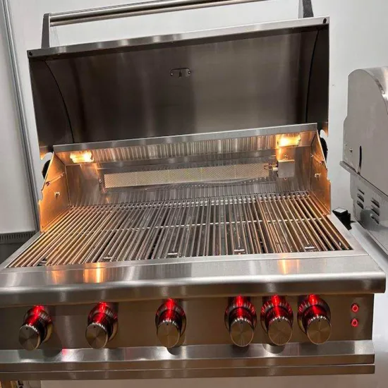 Outdoor Kitchen Wholesale Reinforced Stainless Steel Main Burner Built In Grill