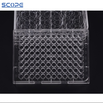 Lab Plastic Sterile TC Treated Multi-Well Tissue Culture Plates