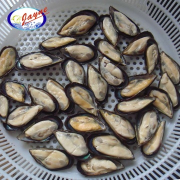 1Kg/Bag or 1Kg/Box package frozen half shell mussel in shellfish with low price