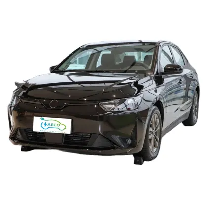 New Energy Vehicle 2024