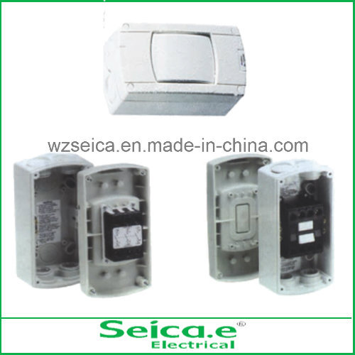 Tss Industrial Switch/Australian Waterproof Isolating Switch