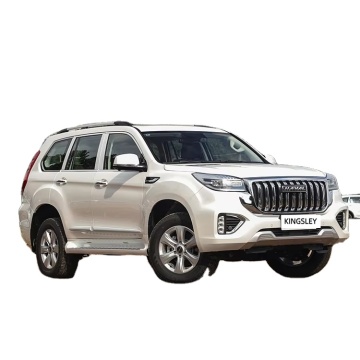 Great Wall Haval H9: Top-Selling Gasoline SUV 4WD Off-Road Vehicle in China