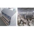 Manual poultry egg collection box